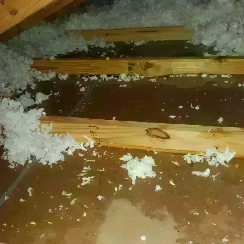 Attic Water Damage in Lake Wisconsin, WI