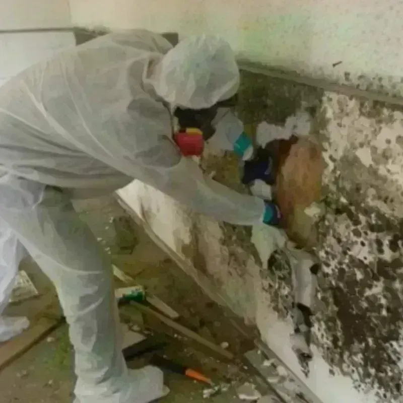 Mold Remediation and Removal in Lake Wisconsin, WI