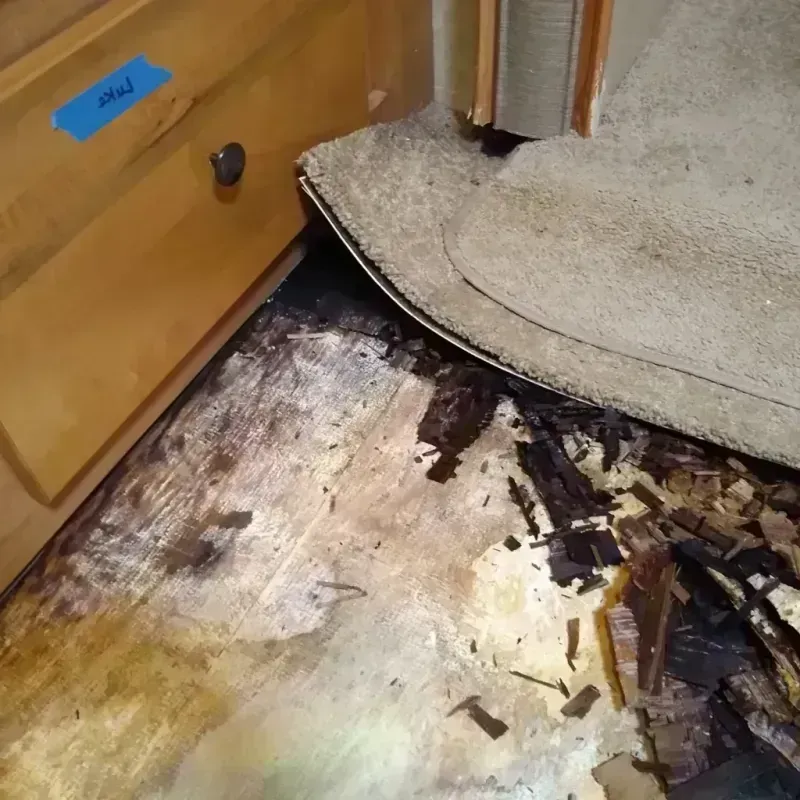 Wood Floor Water Damage in Lake Wisconsin, WI